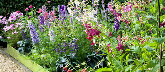 Ein Blumenstrauß aus Ihrem eigenen Garten Pflücken