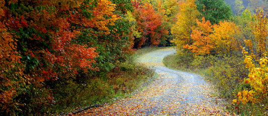Herbstdekoration mit Pflanzen aus dem eigenen Garten