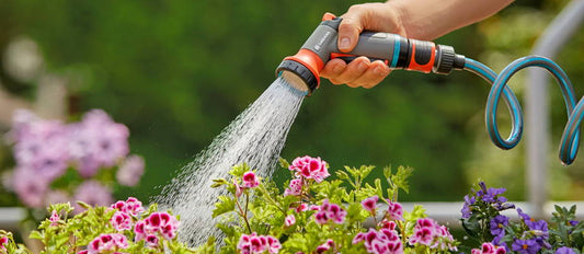 Bewässern im Sommer