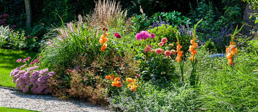 Top 5 goldene Blumenzwiebel – Staudenkombinationen