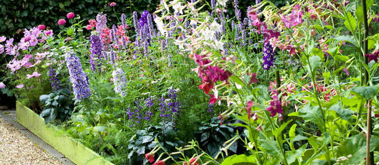 Ein Blumenstrauß aus Ihrem eigenen Pflückgarten