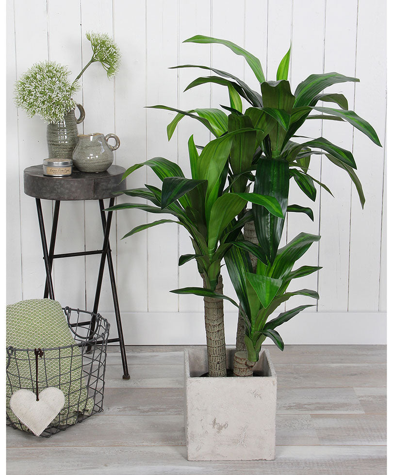 Künstliche Pflanze Drachenbaum Dracaena inkl. Runder Ziertopf, Kunststoff