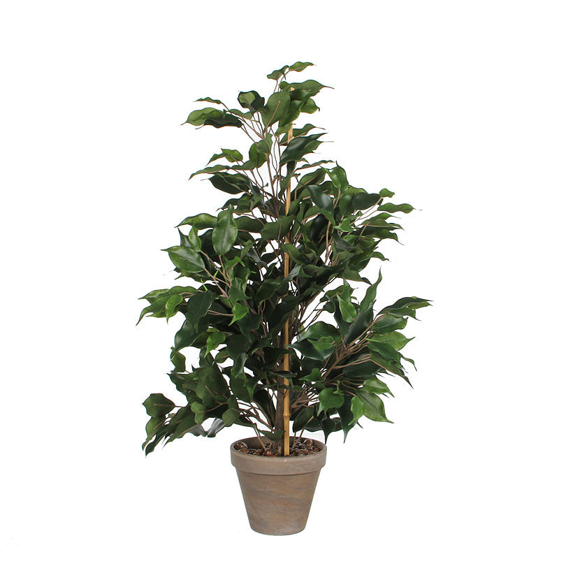 Mica Künstliche Ficus 'Exotica'