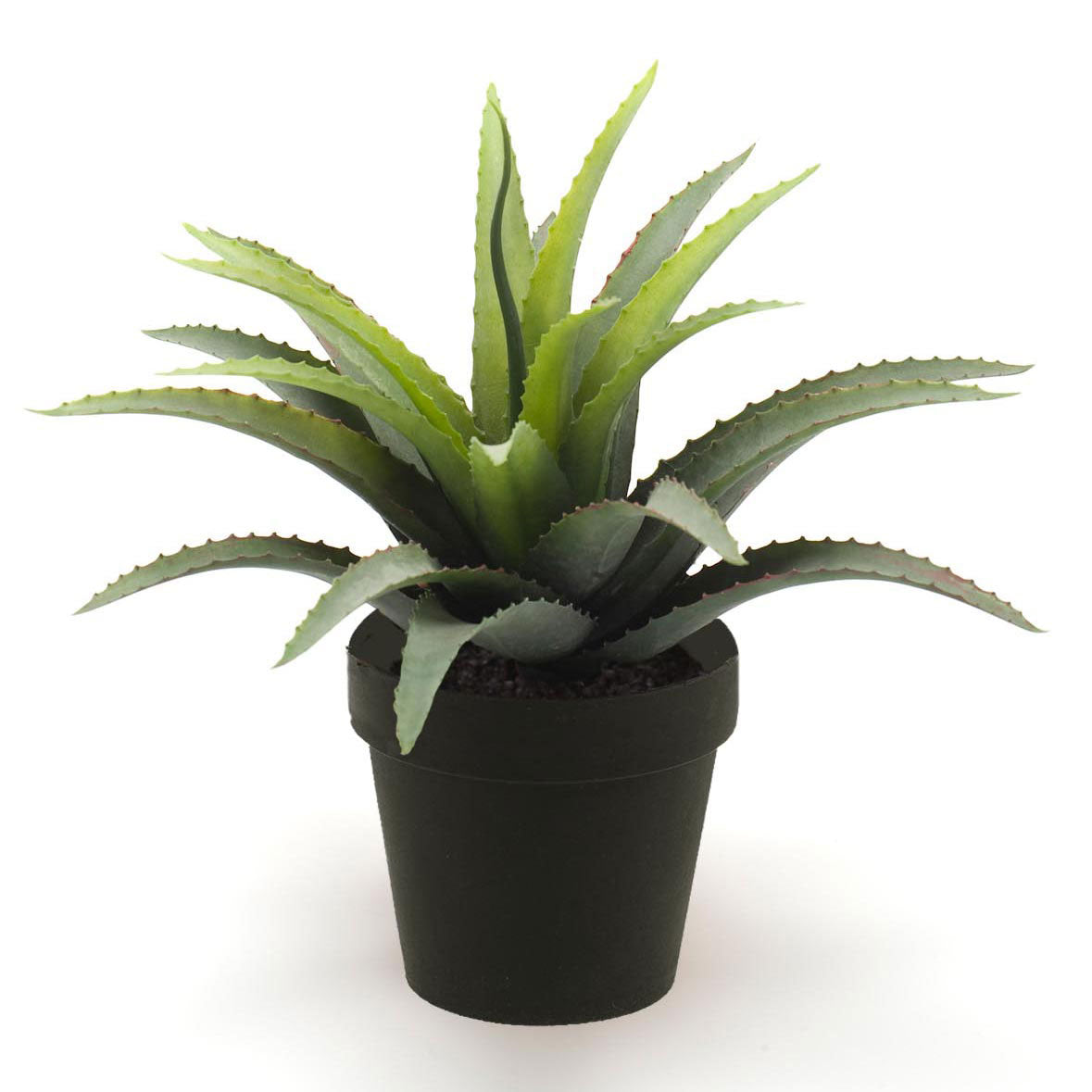 Künstliche Pflanze Agave grün-rot inkl. Ziertopf, schwarz kaufen