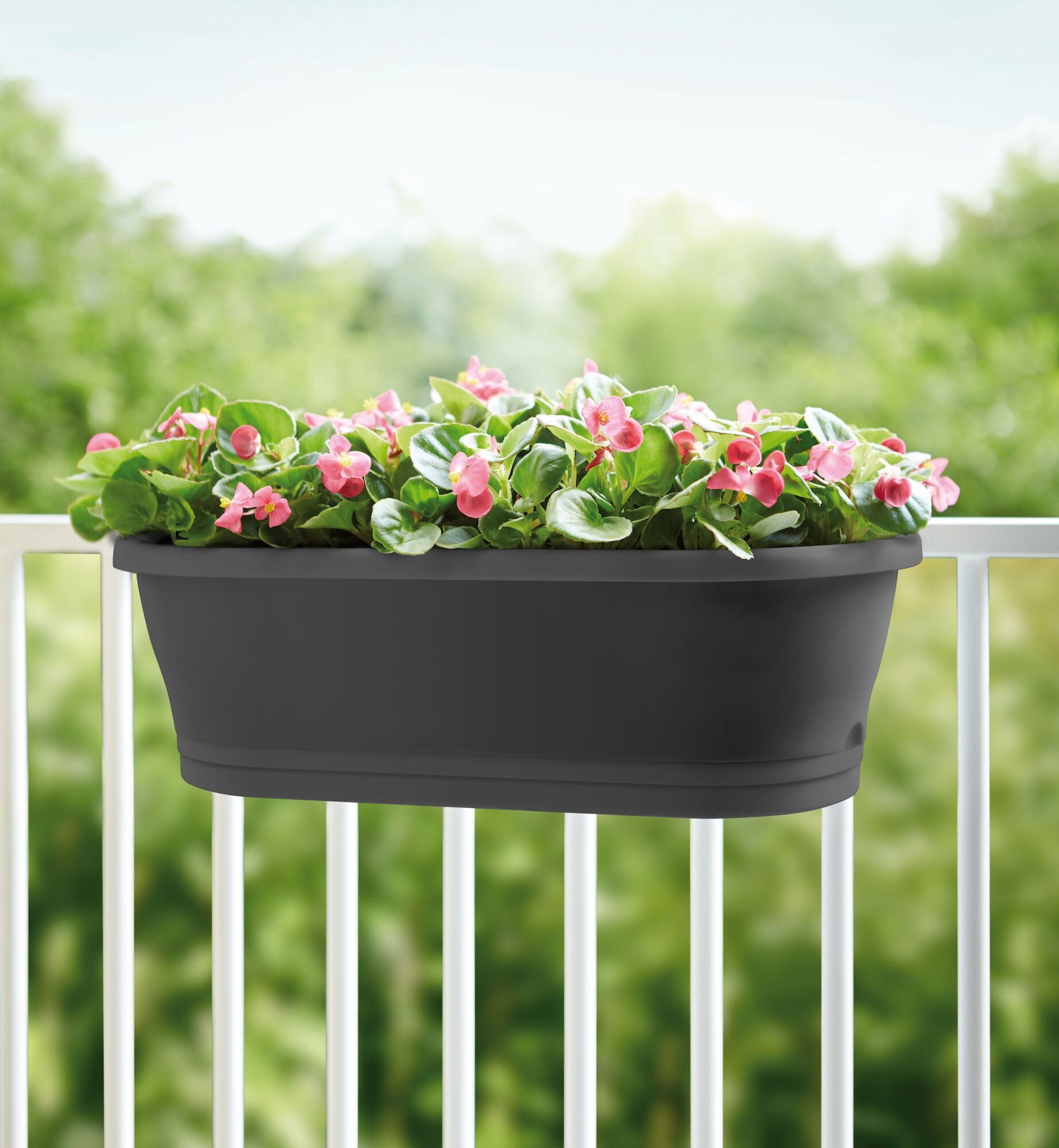 elho blumenkasten 60 cm Elho Balkonkasten Corsica Easy balcony oval anthrazit