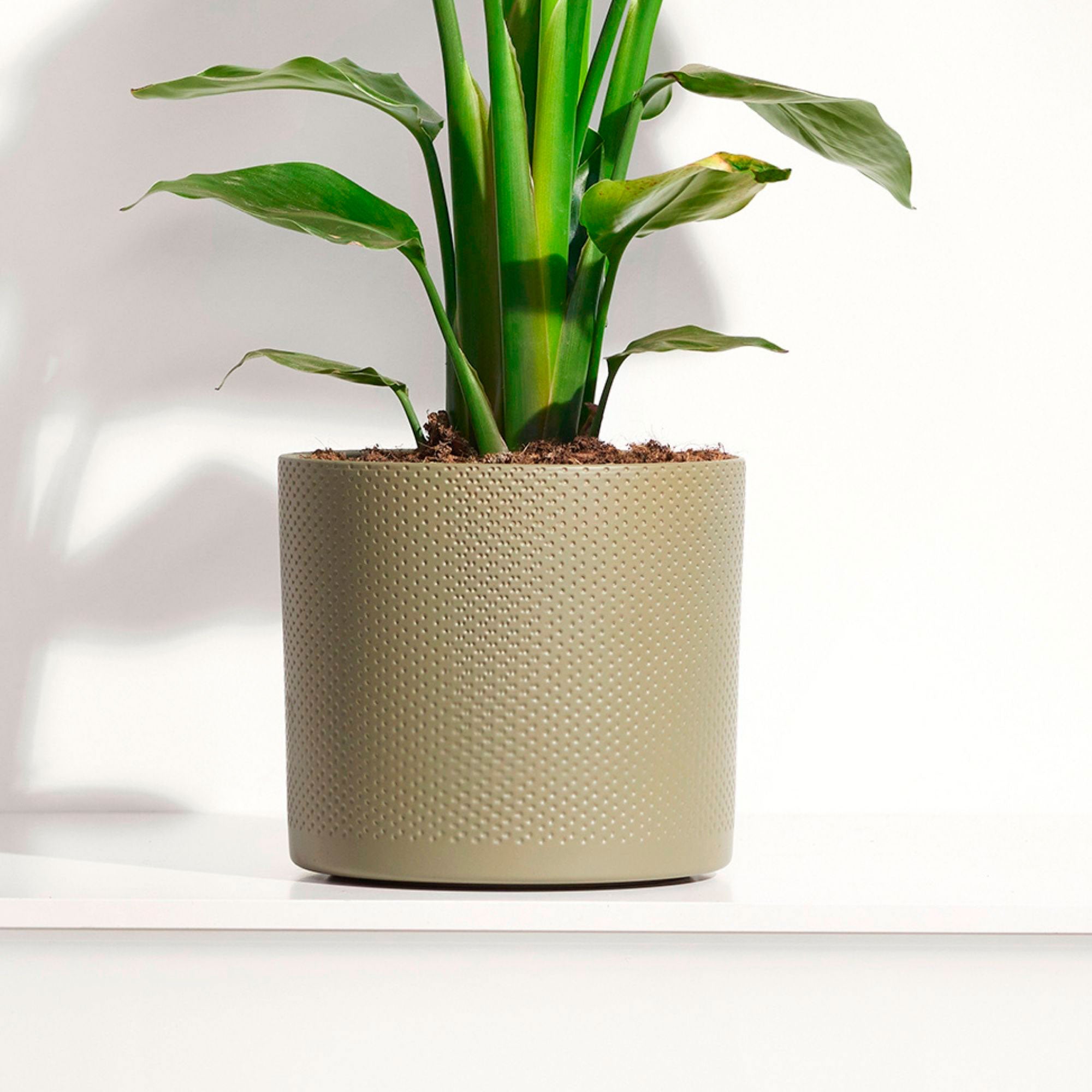 Mica Blumentopf Era rund grün relief- Innentopf kaufen