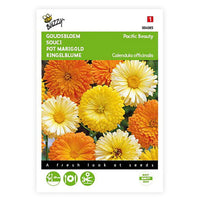 Marigold Calendula 'Pacific Beauty' - Mischung gelb-orange-weiβ 2,5 m² - Blumensamen