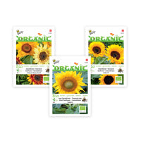 Sonnenblumenpaket Helianthus 'Sonnenblumenmeer' - Biologisch gelb 9 m² - Blumensamen