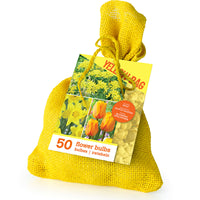 50x verschiedene Blumenzwiebeln im Jutebeutel Gelb
