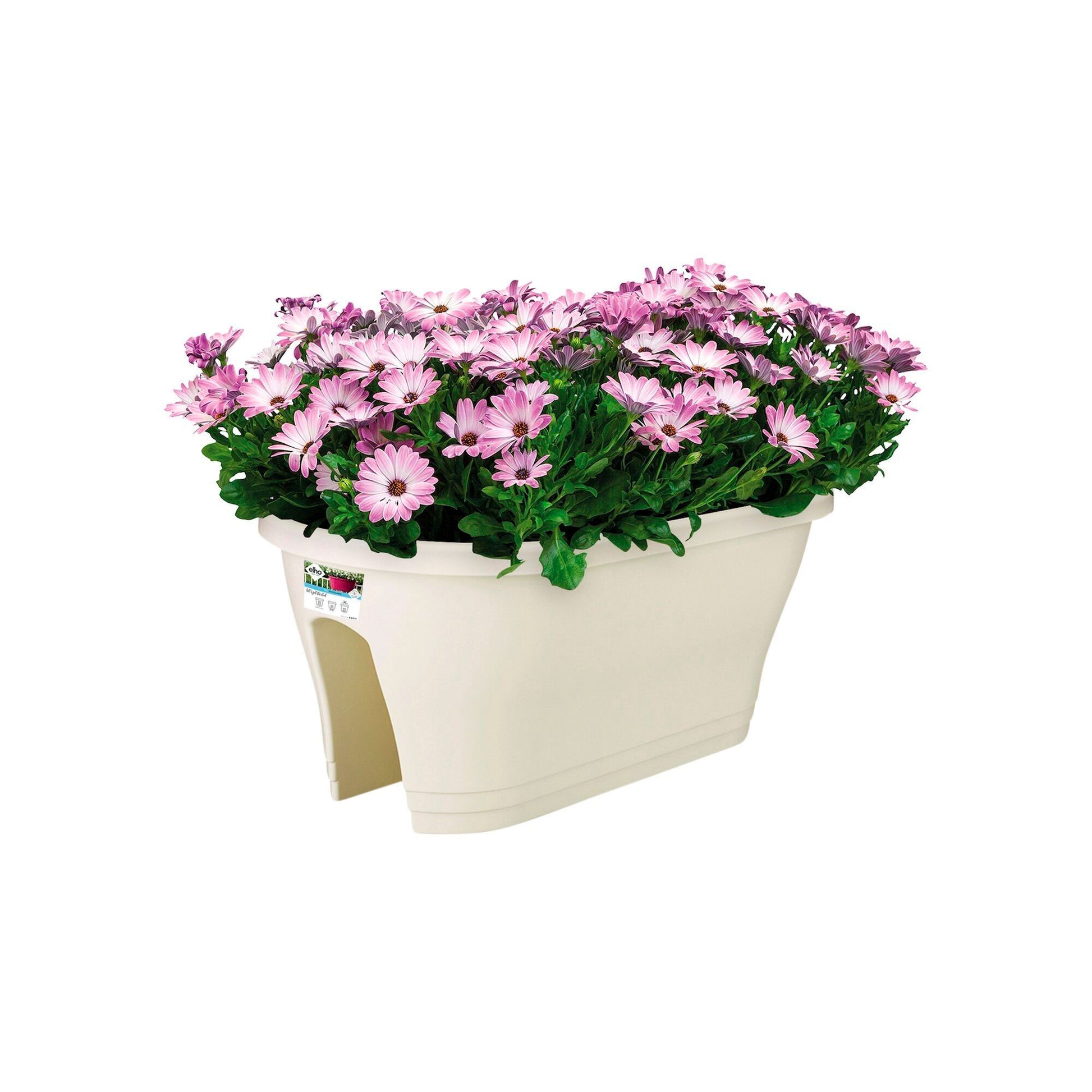 Elho Balkonkasten Corsica Flower Bridge oval weiβ - Außentopf kaufen