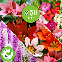 50x Blumenzwiebeln - Mischung 'For Bees & Butterflies' Lila-Gelb-Blau