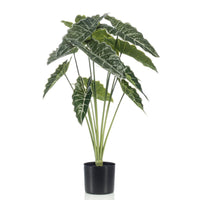 Künstliche Pflanze Elefantenohr Alocasia inkl. Ziertopf, schwarz
