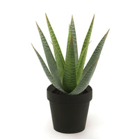 Künstliche Pflanze Aloe vera inkl. Ziertopf, schwarz
