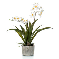 Künstliche Pflanze Orchidee Oncidium weiβ-gelb inkl. Ziertopf aus Keramik