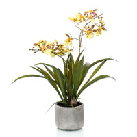 Künstliche Pflanze Orchidee Oncidium gelb inkl. Ziertopf aus Keramik