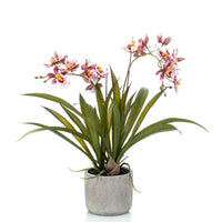 Künstliche Pflanze Orchidee Oncidium rosa inkl. Ziertopf aus Keramik