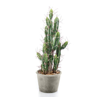 Künstliche Pflanze Cactus Stetsonia inkl. Ziertopf, grau