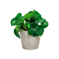 Elho Blumentopf B.for rock rund grau - Innentopf