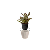Elho Blumentopf B.for rock rund grau - Innentopf
