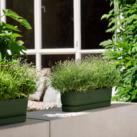 Elho Blumentopf Greenville terrace trough oval grün mit Rädern - Außentopf
