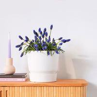 Elho Greenville-Blumentopf, rund, weiß – Pflanzgefäß Outdoor