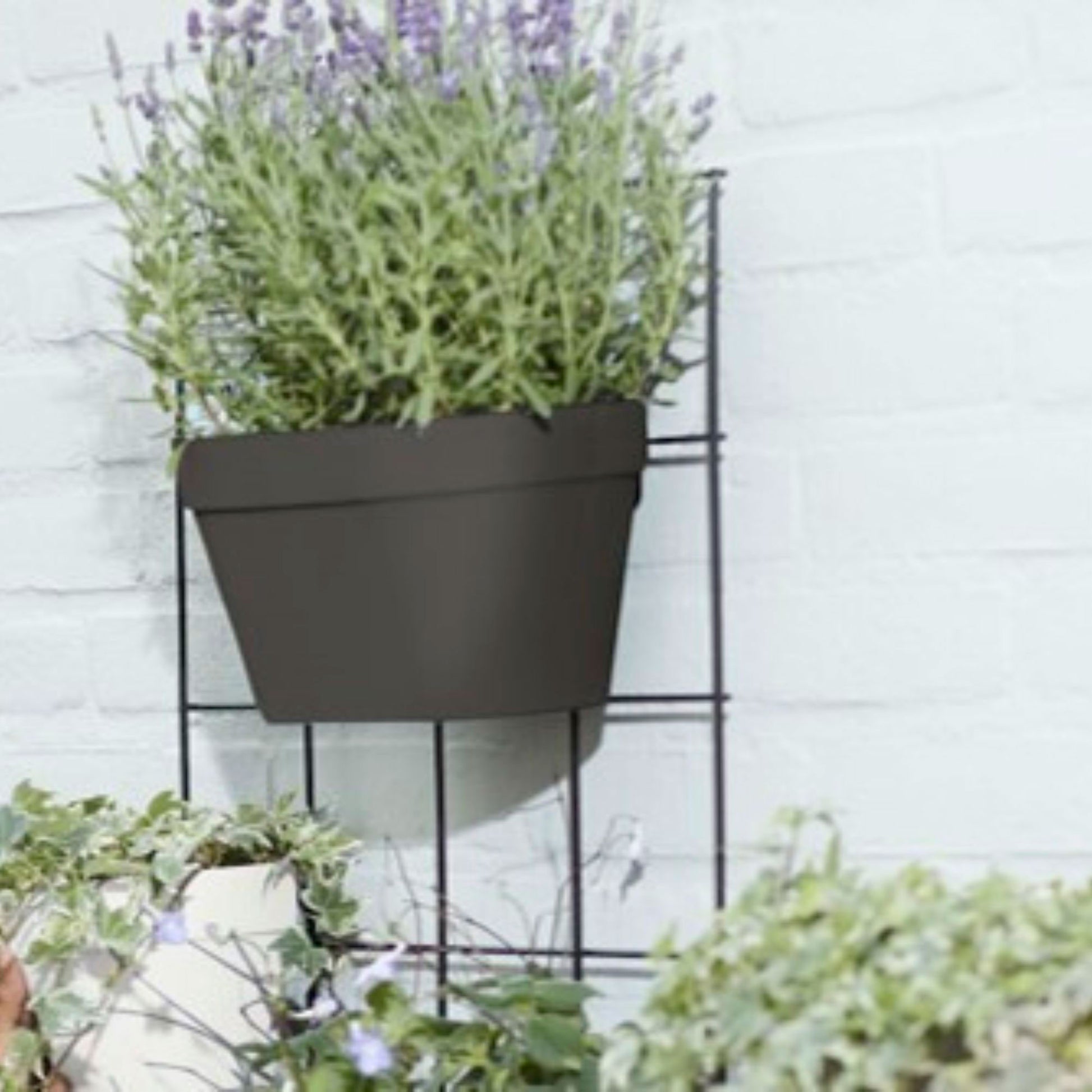 elho pflanztopf loft urban Elho Blumentopf Loft urban Green wall duo oval anthrazit - Außentopf kaufen
