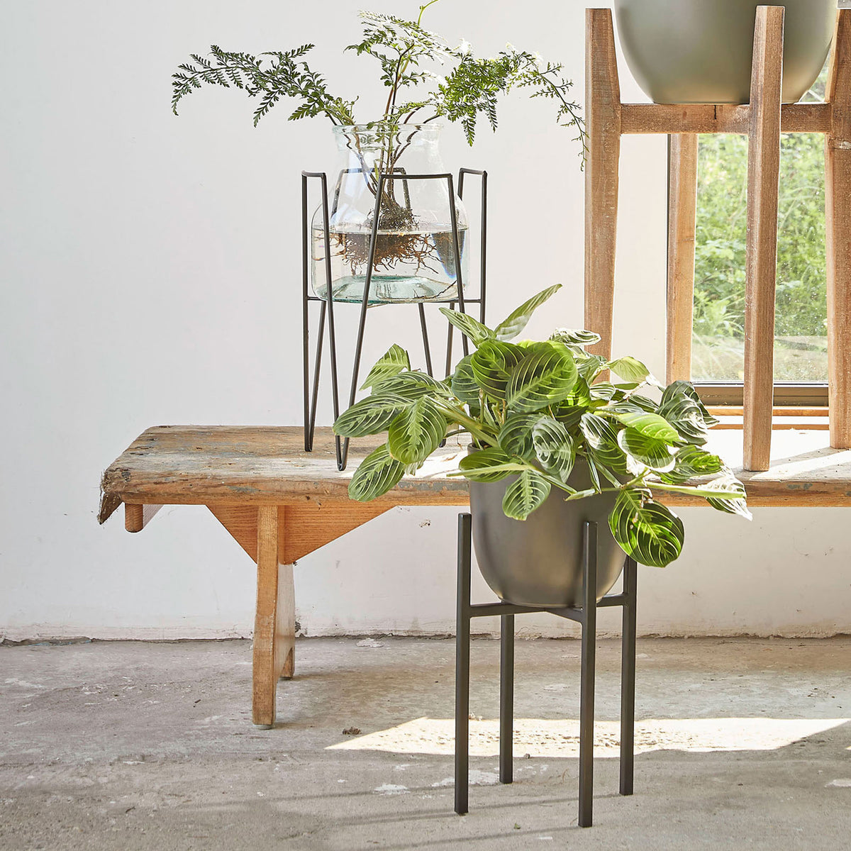 Mica Decorations Pflanzenstand Blom schwarz kaufen
