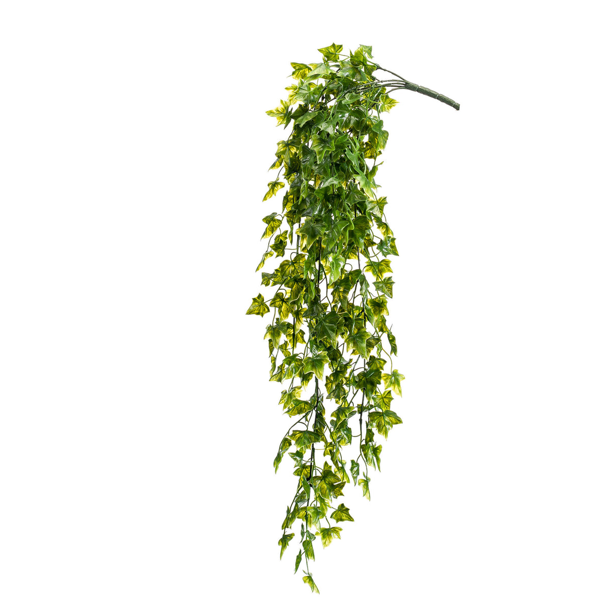 Künstliches Efeu Hedera Helix kaufen