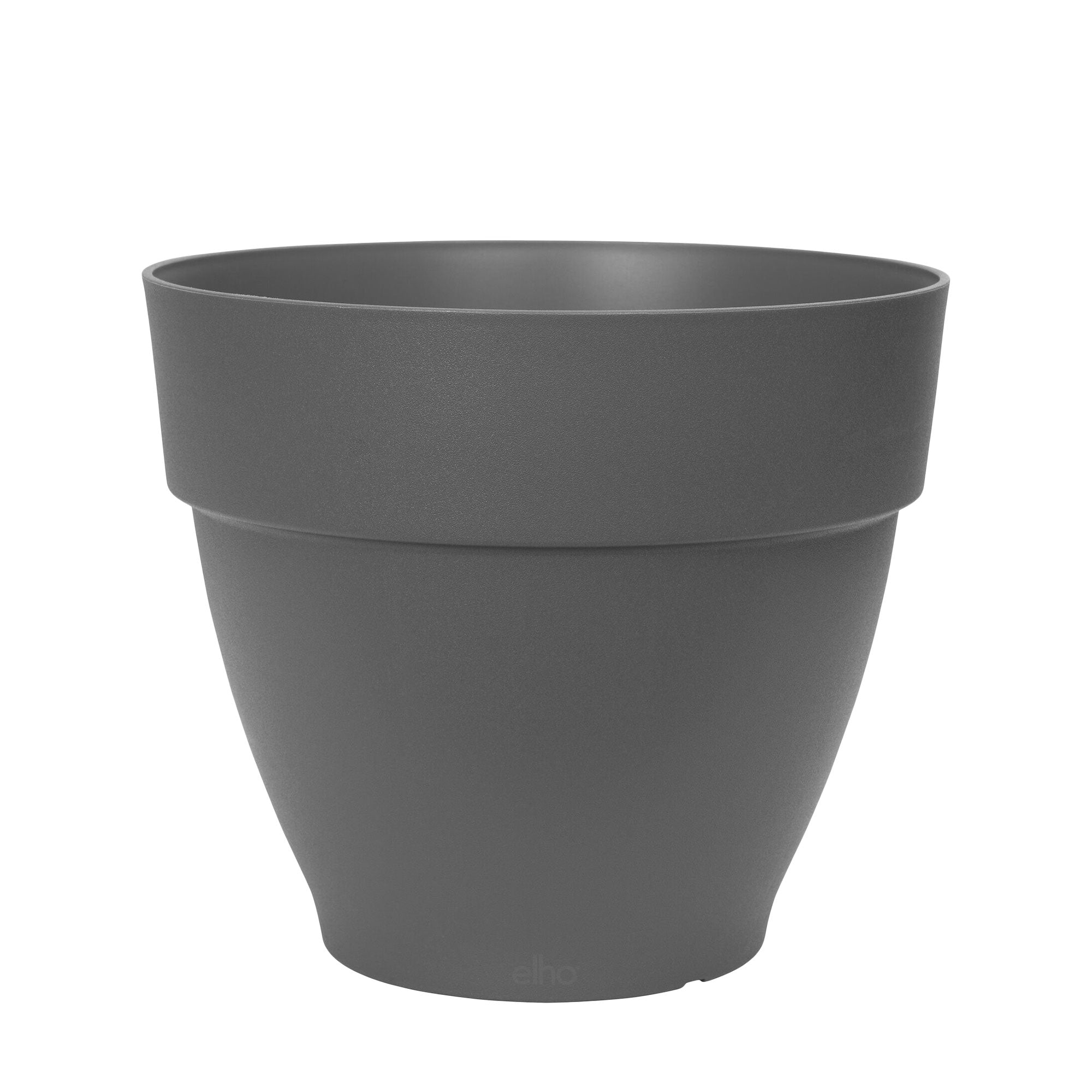 Kaufen Sie jetzt Staude Christrose Helleborus 'Double Ellen' Rot