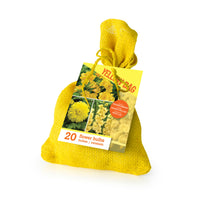 20x Blumenzwiebeln - Mischung 'The Yellow Bag' Gelb
