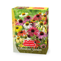 Sonnenhut Echinacea + Rudbeckia 'Goldsturm' - Mischung Rosa-Weiß-Gelb  - Wurzelnackte Pflanzen - Winterhart