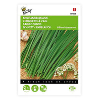 Chinesischer Schnittlauch Allium tuberosum 1 m² - Kräutersamen