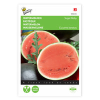 Wassermelone Citrullus 'Sugar Baby' 15 m² - Obstsamen