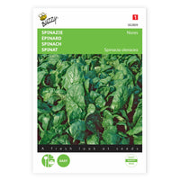 Spinat Spinacia 'Nores' 15 m² - Gemüsesamen