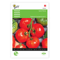 Tomate Solanum 'Saint Pierre' 20 m² - Gemüsesamen