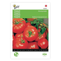 Tomate Solanum 'Moneymaker' 10 m² - Gemüsesamen