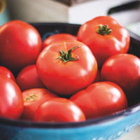 Tomate Solanum 'Moneymaker' 10 m² - Gemüsesamen