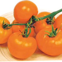 Tomate Solanum 'Arancia' gelb 2 m² - Gemüsesamen
