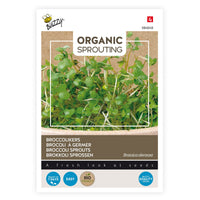 Brokkolikresse Brassica oleracea - Biologisch 36 m² - Gemüsesamen