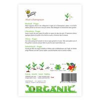 Schnittlauch Allium 'Prager' - Biologisch 4 m² - Kräutersamen