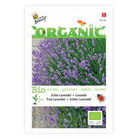 Lavendel Lavandula angustifolia - Biologisch lila 4 m² - Kräutersamen