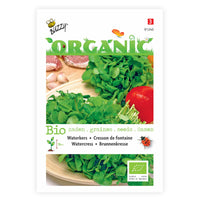 Wasserkresse Nasturtium officinale - Biologisch 10 m² - Kräutersamen