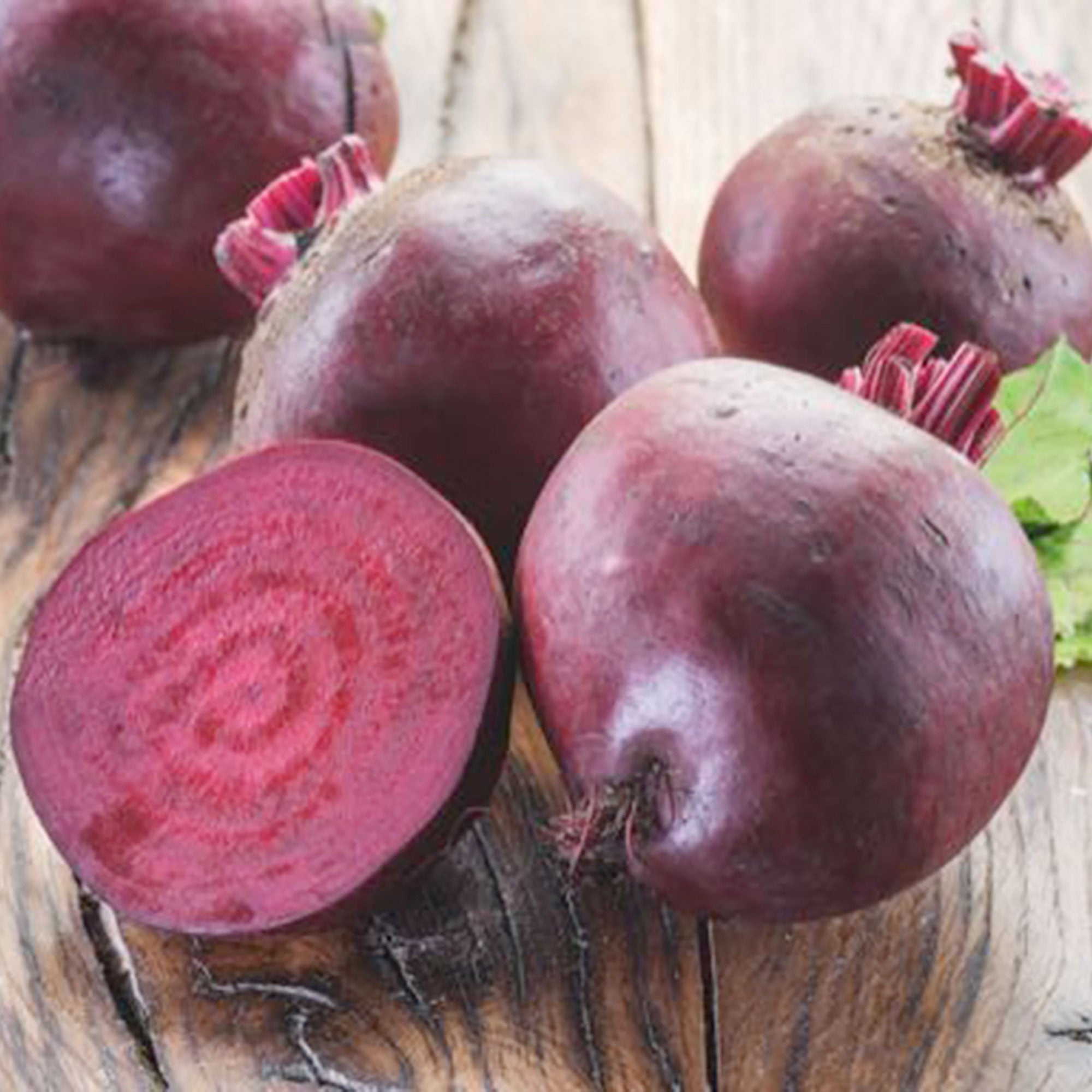 Rote Beete Beta 'Detroit' - Biologisch 3 m² - Gemüsesamen kaufen ...