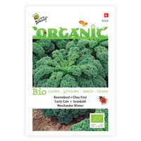 Grünkohl Brassica 'Westlandse Winter' - Biologisch 40 m² - Gemüsesamen