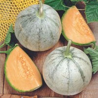 Melone Cucumis 'Charentais' - Biologisch 3 m² - Obstsamen