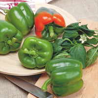 Paprika Capsicum 'California Wonder' - Biologisch rot 5 m² - Gemüsesamen