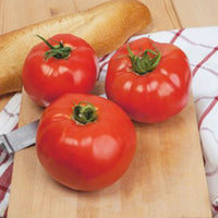 Tomate Solanum 'Ace' - Biologisch 25 m² - Gemüsesamen