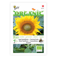 Sonnenblume Helianthus 'Sunspot' - Biologisch gelb 3 m² - Blumensamen
