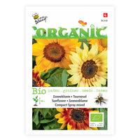 Sonnenblume Helianthus 'Compact Spray' - Biologisch gelb 3 m² - Blumensamen