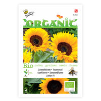 Sonnenblume Helianthus 'Zohar F1' - Biologisch gelb 3 m² - Blumensamen